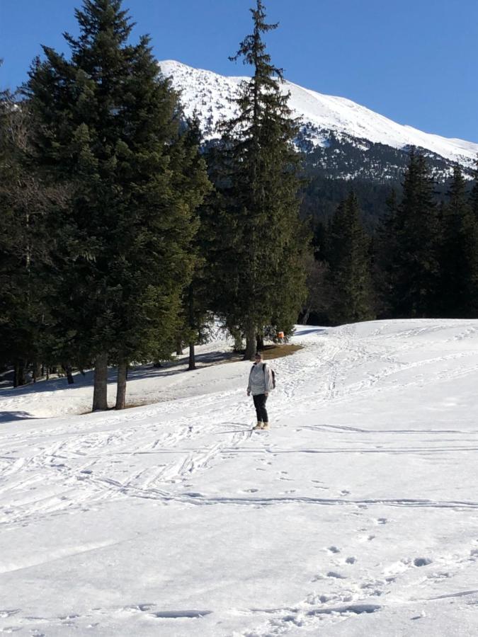 Au Pied Du Vercors Tout Est Permis La Riviere  Экстерьер фото
